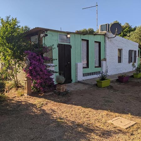 Вилла Casa Carlo Альгеро Экстерьер фото